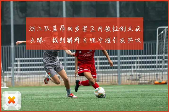 浙江队莱昂纳多禁区内被拉倒未获点球,裁判解释合理冲撞引发热议